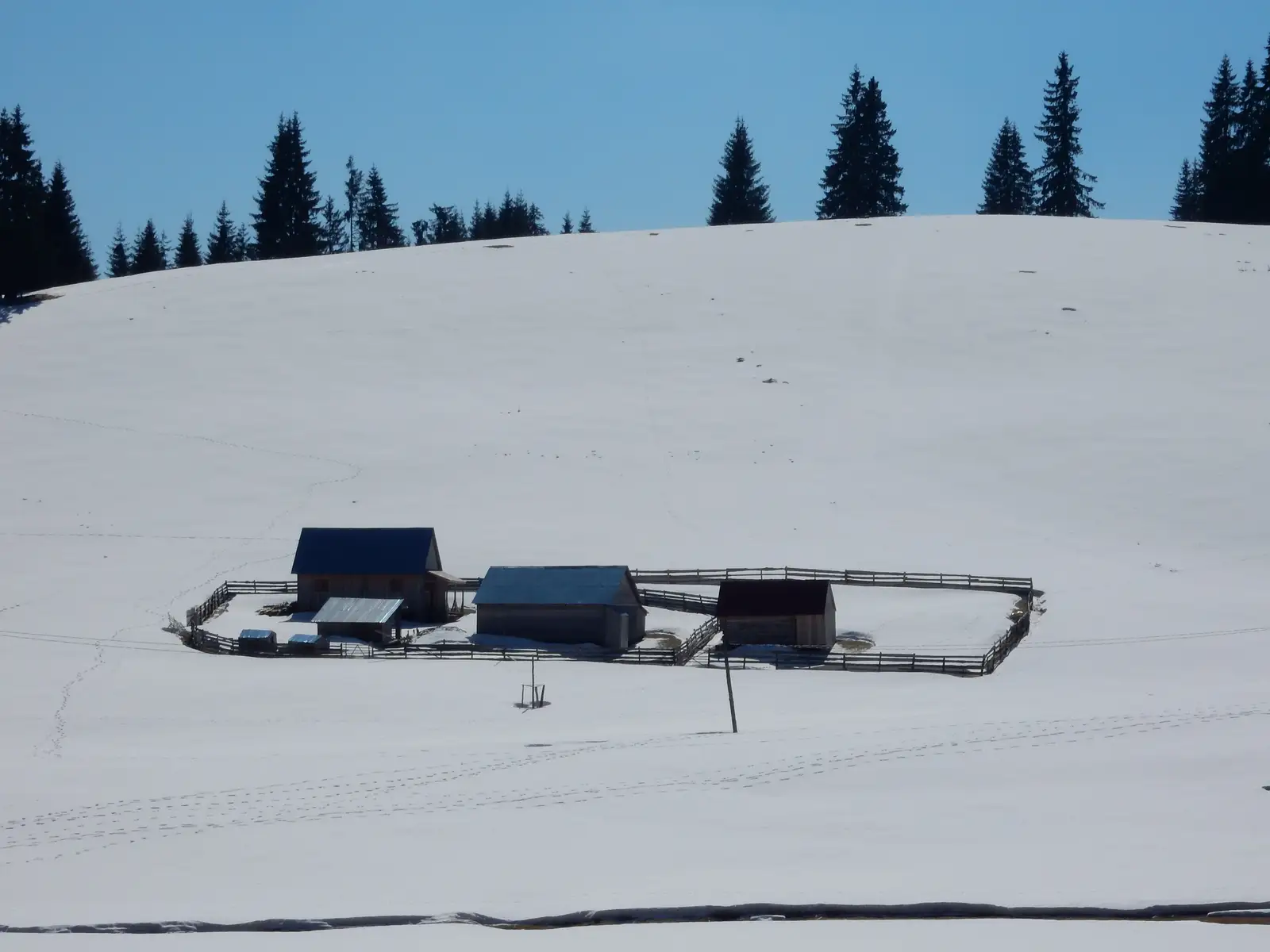 Şaua Ursoaia - Poiana Călineasa