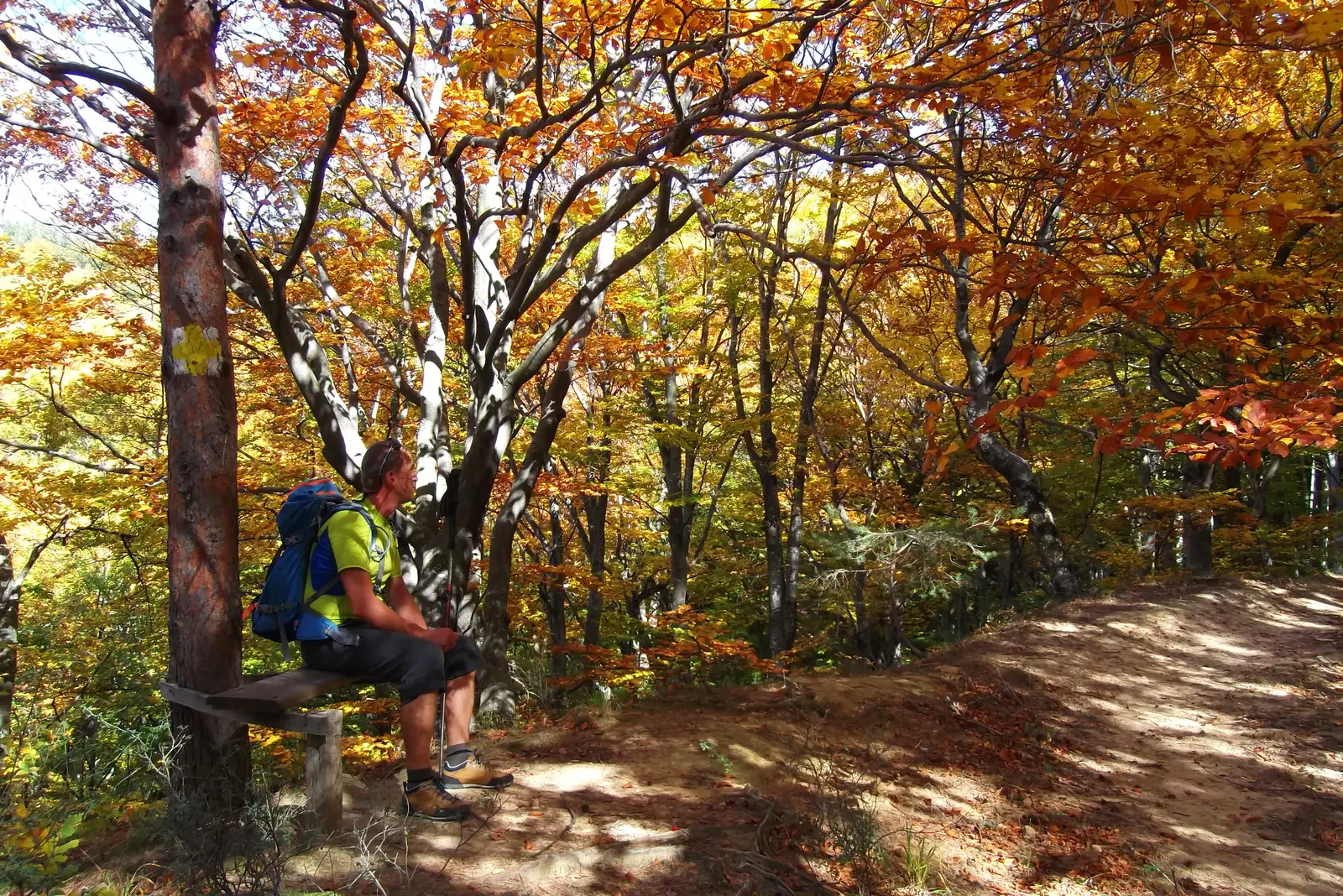 DN7 - Poiana La Nuceţel - Şaua La Troiţă