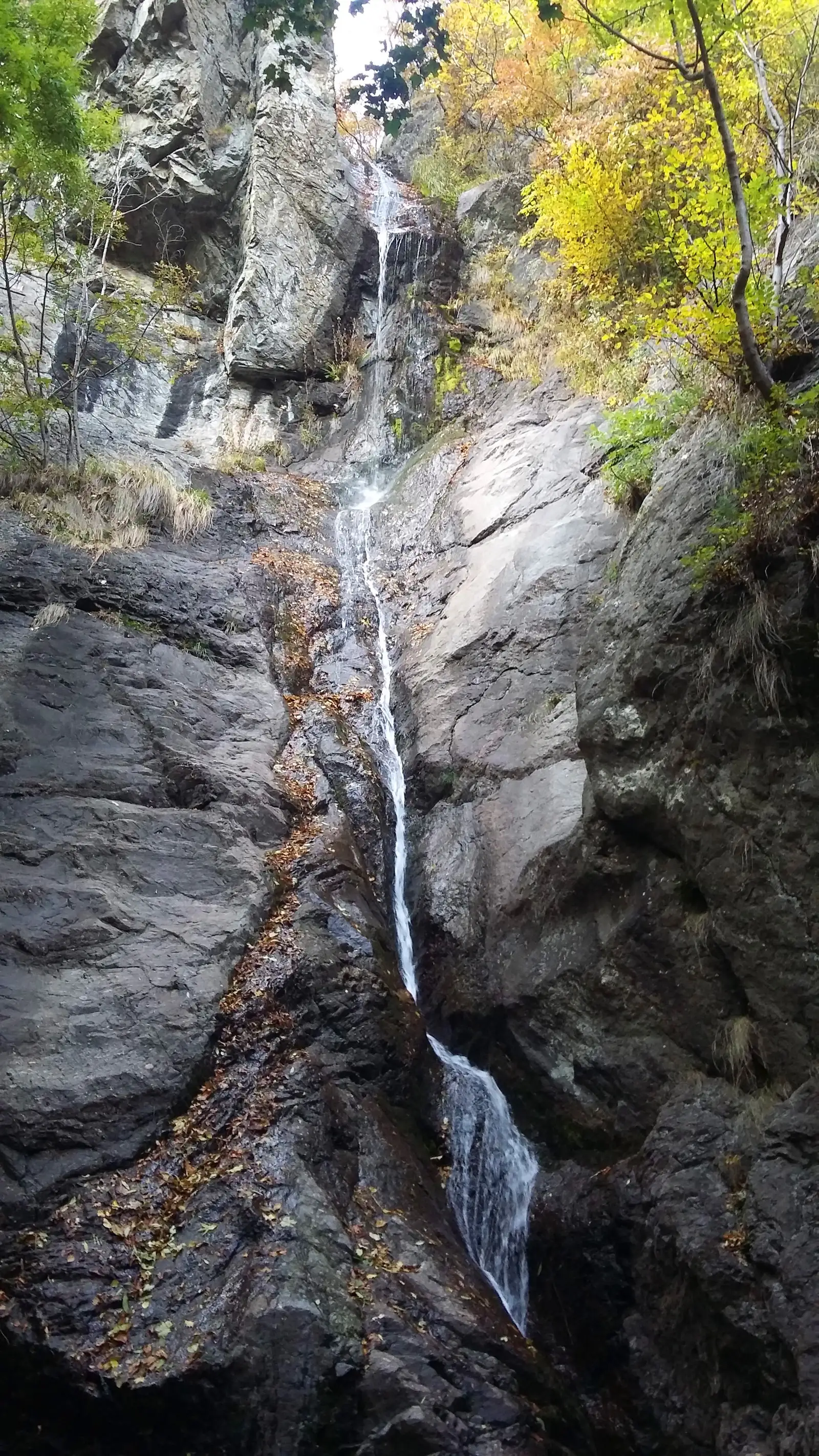 Poiana Stânişoarei - cascada Gardului (Urzicii) - Poiana Stânişoarei