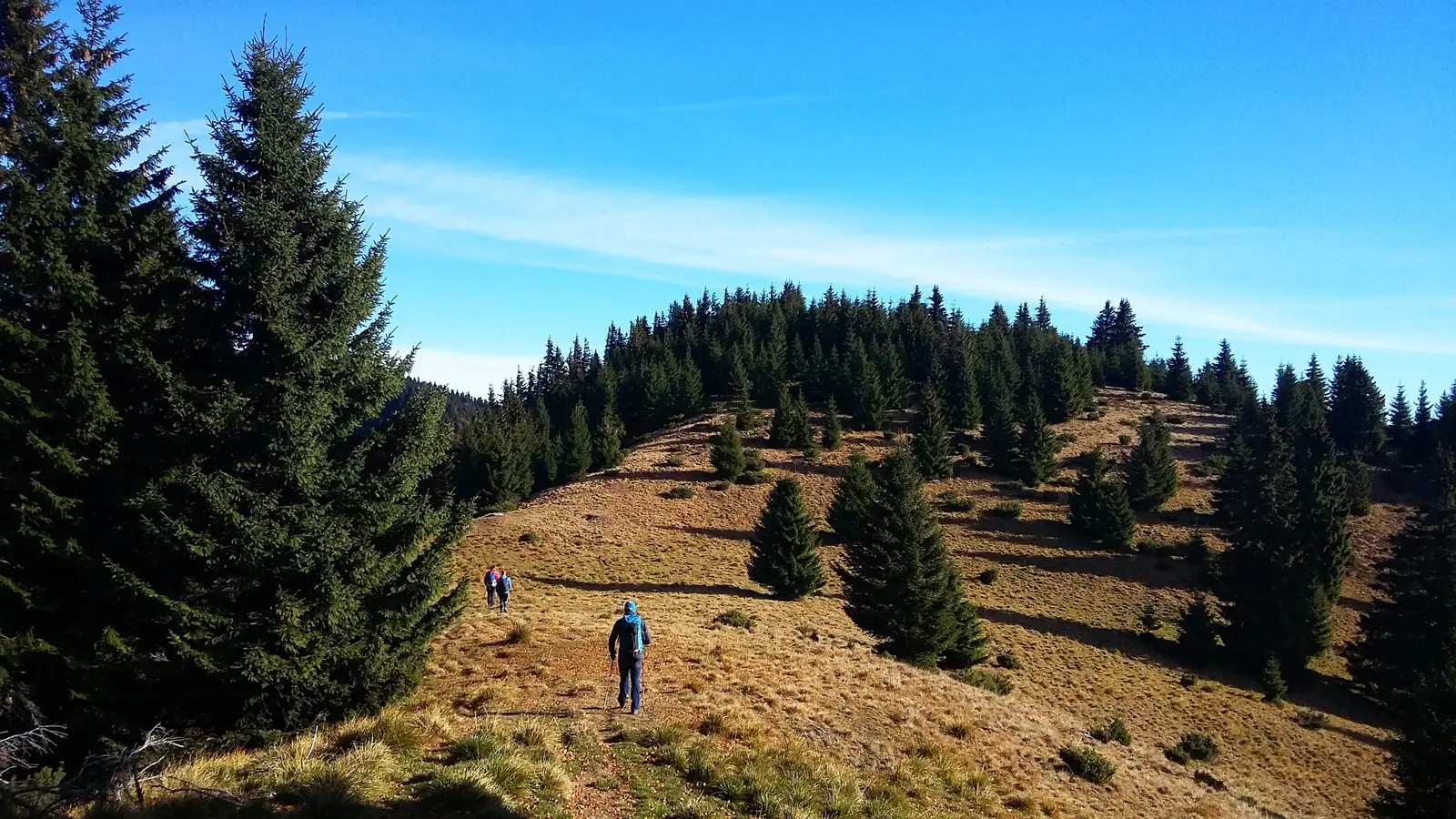 Curmătura Mocirlele - Poarta de Piatră - Curmătura Mocirlele