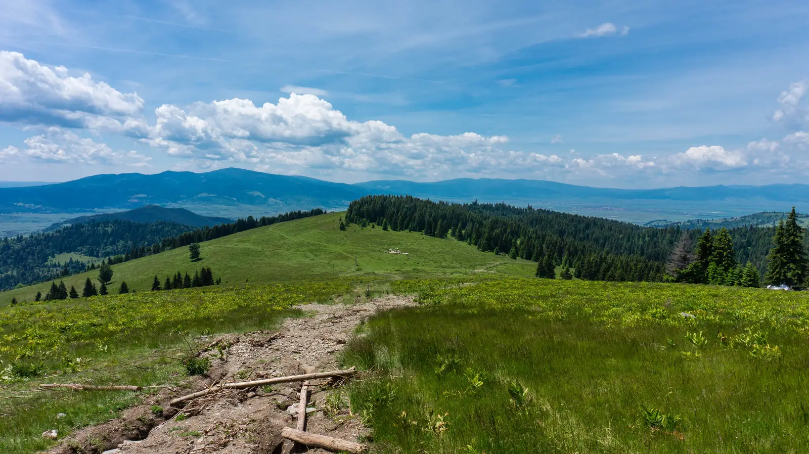 Vf. Arama Neagră - Peştera Şugău - Vf. Şipoş