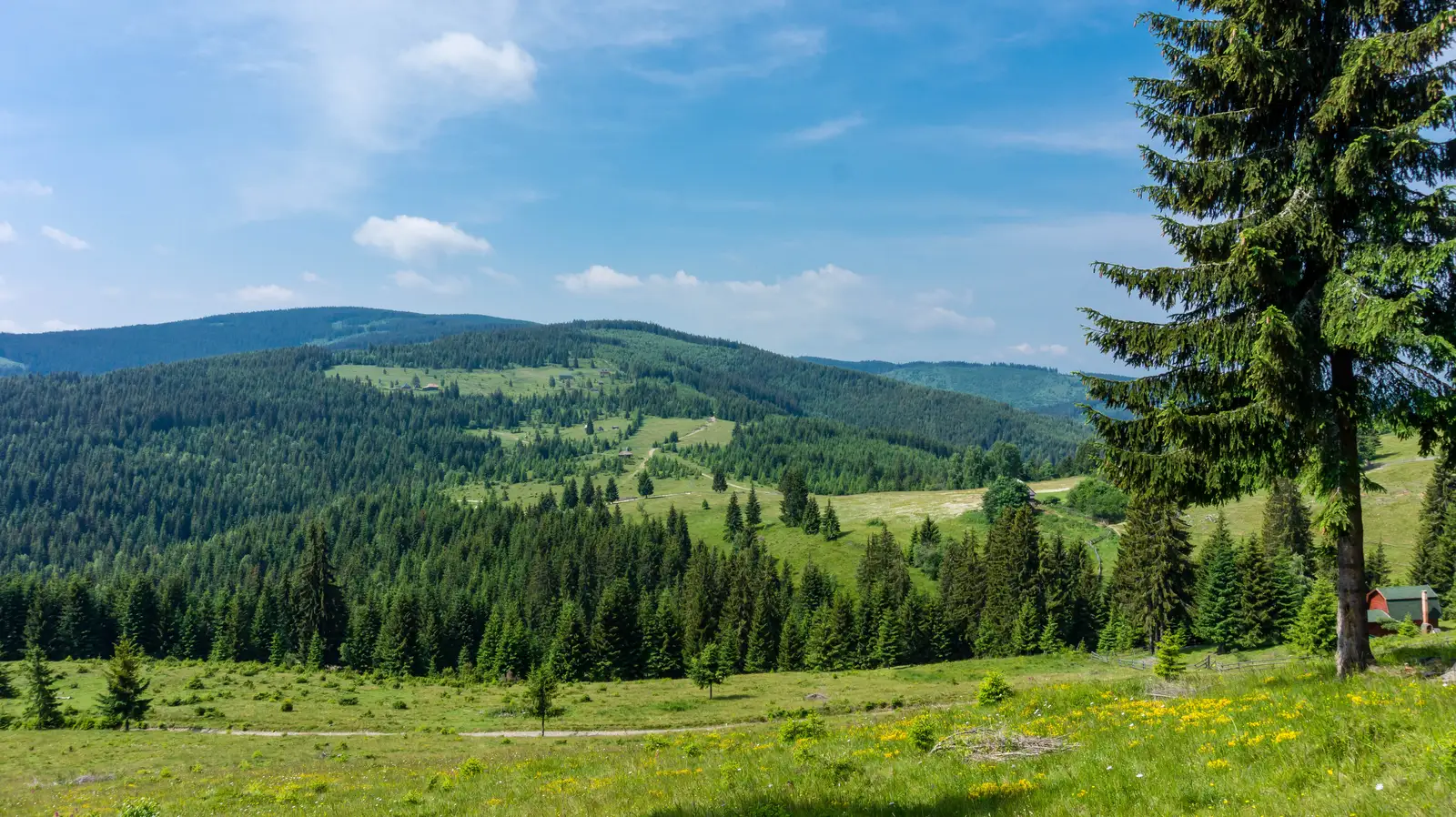 oraş Gheorgheni - Vf. Fagul Înalt - Pasul Covacipeter
