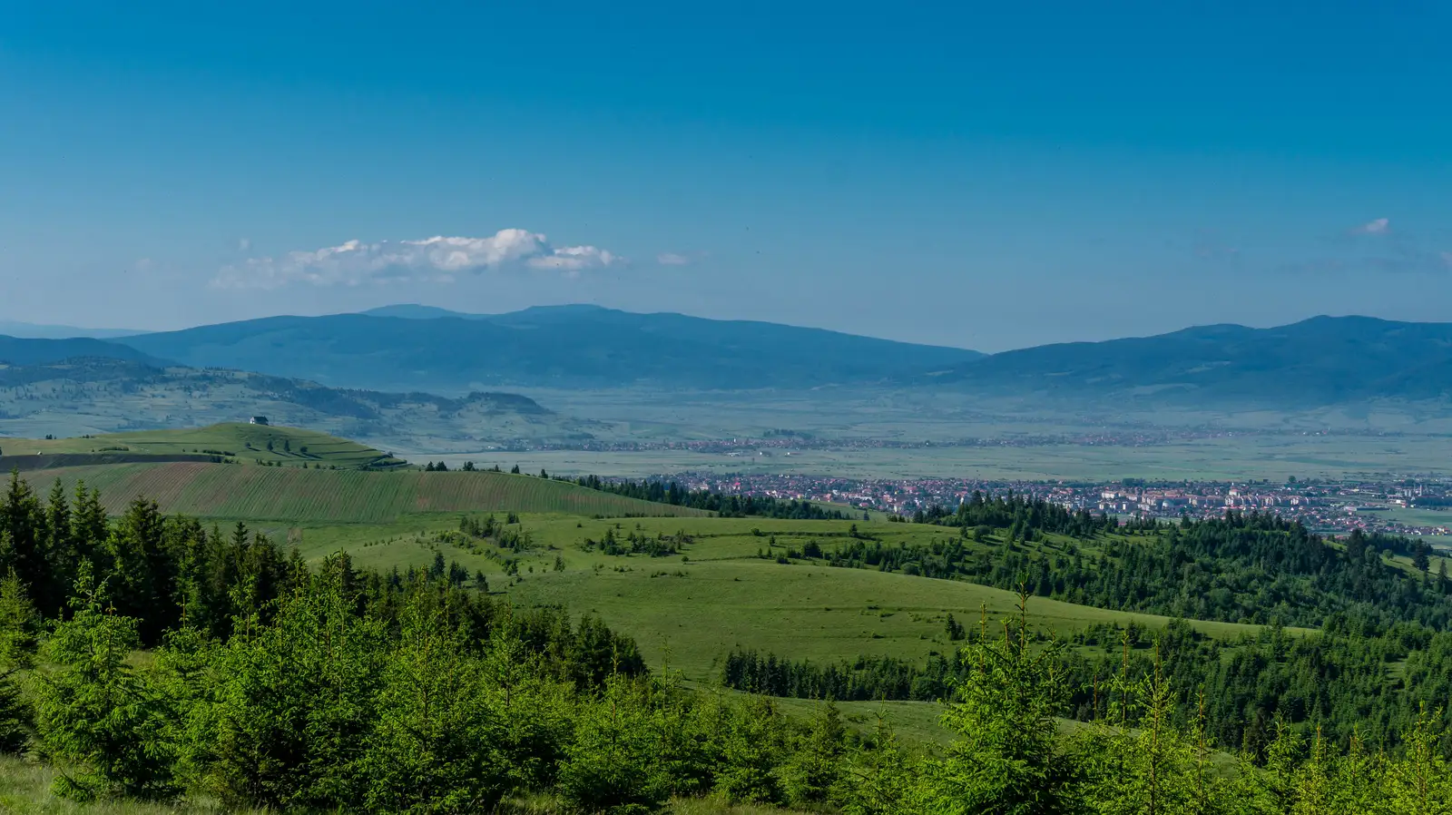 oraş Gheorgheni - Vf. Prişca - sub Vf. Tătarul