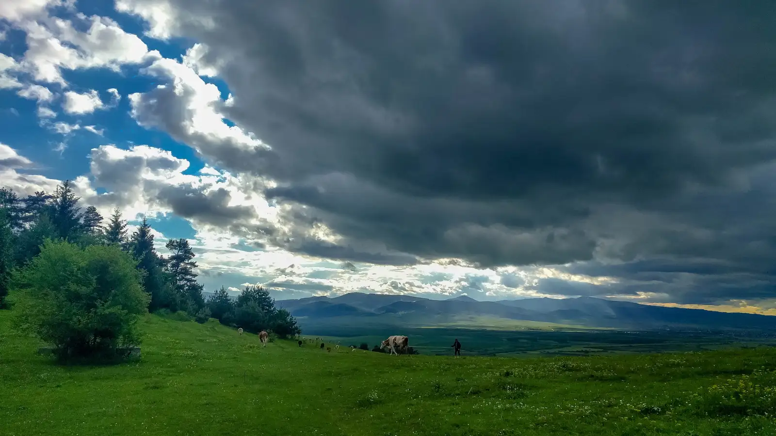 sat Lăzarea - Mănăstirea Franciscană - Capela Sf. Anton