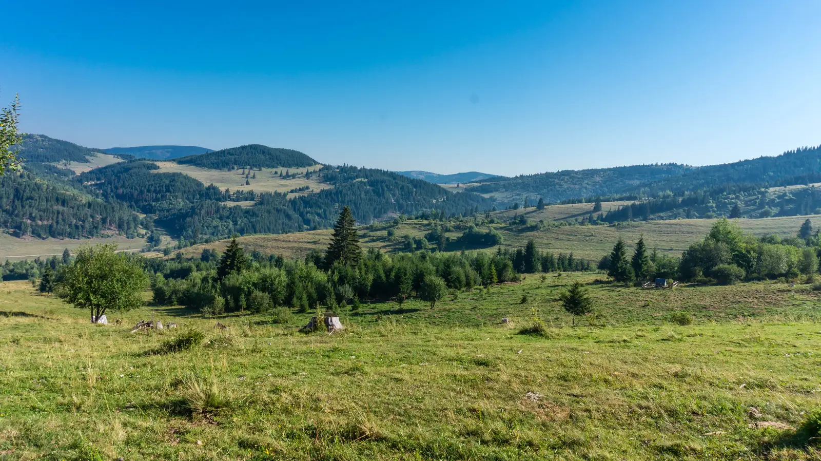 Rez-nyaka - Vf. Prişca