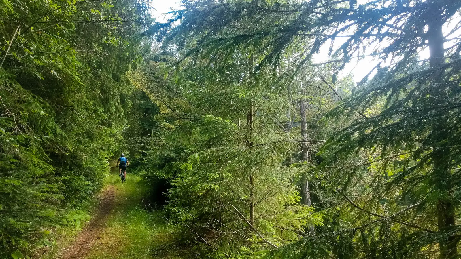 sat Jolotca - Pasul Ţengheler - Şaua Niergheş