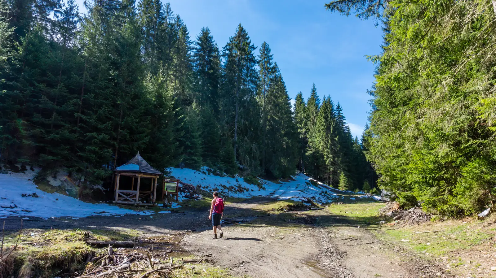 Valea Filip Andrei - sub vf. Chiozrezul Mare