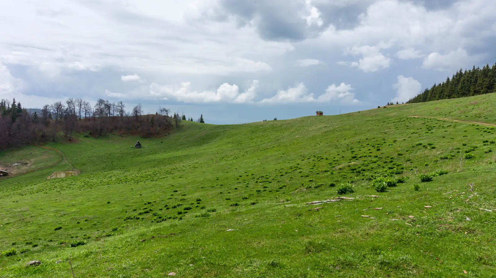oraş Borsec - Uzina 7 Izvoare - Vf. Făget