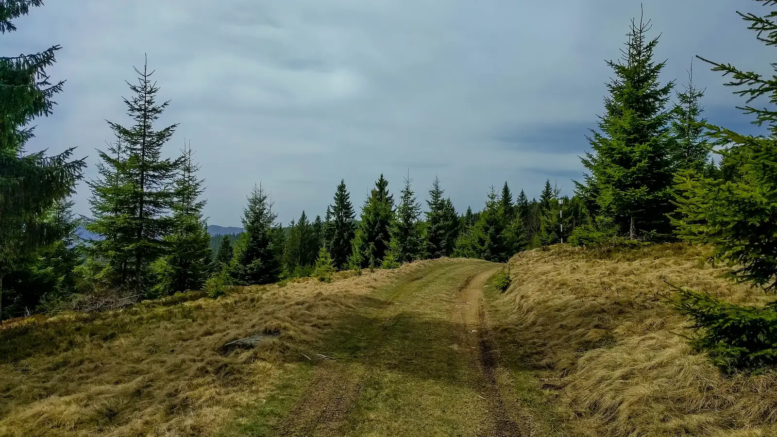 oraş Borsec (Biroul de Informare Turistică) - Refugiul Făget - Vf. Făgeţel - oraş Borsec (Biroul de Informare Turistică)