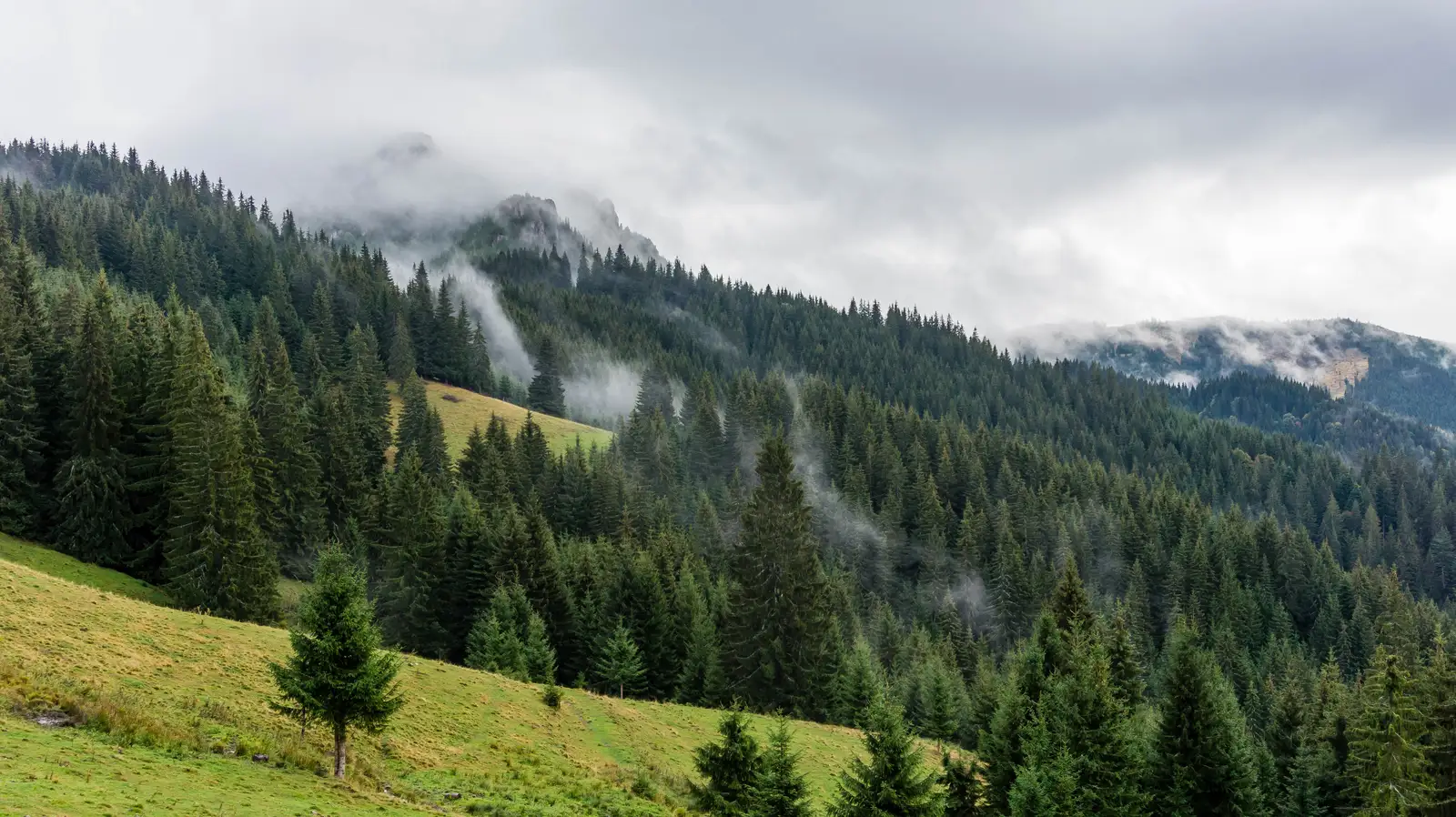 sat Hagota - Şaua Vithovoş