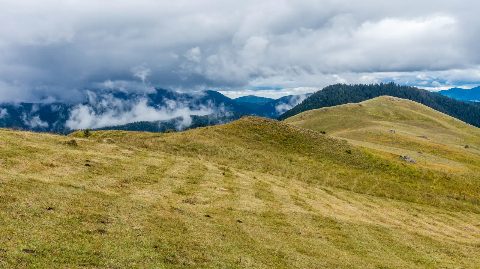 Pasul Pângăraţi - Poarta Lapoşului - Curmătura Pinticului