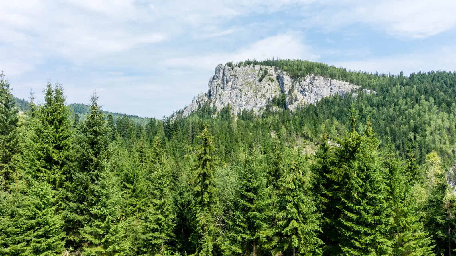 Lacu Roşu - Cheile Bicazului (Podul Ungurilor) - Cheile Bicăjelului - Lacu Roşu