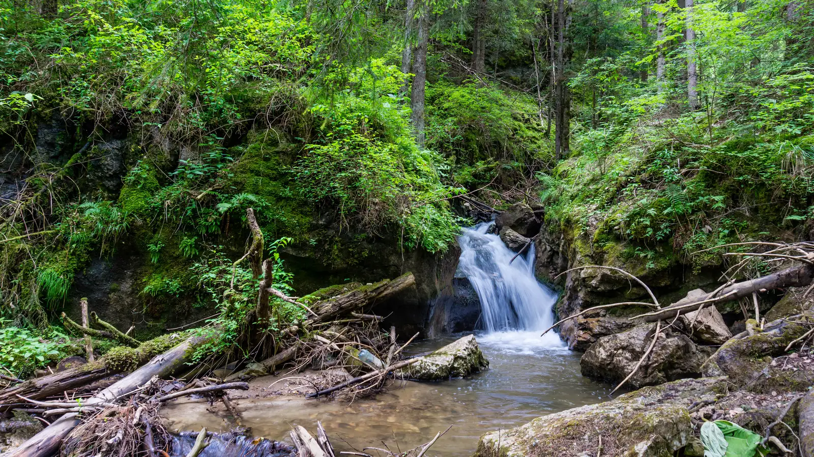 Cheile Cupaşului - Fundul Cupaşului