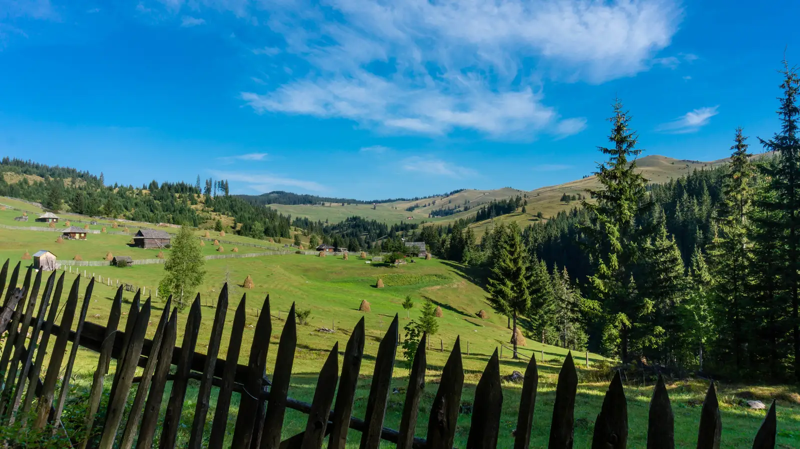 Cheile Bicazului - Şaua Cupaş