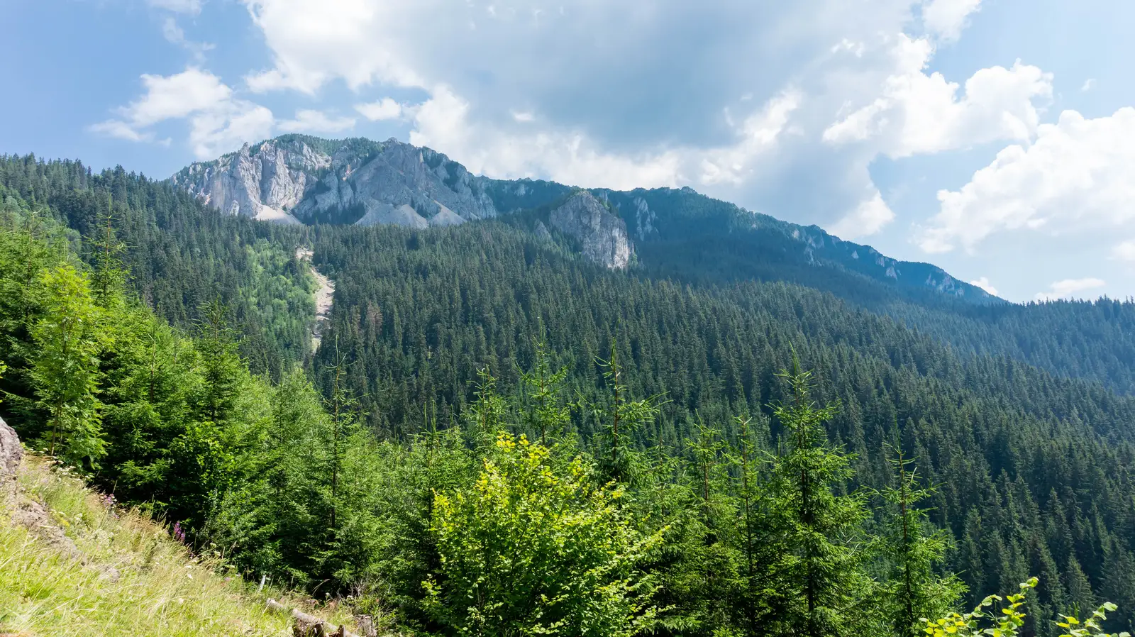 oraş Bălan - Valea Fierarului - Cabana Piatra Singuratică