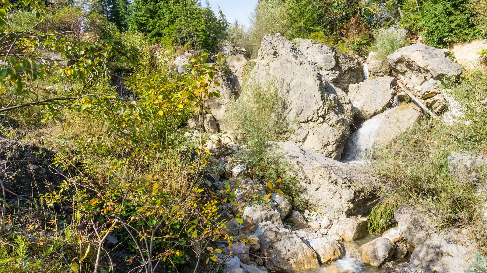 oraş Bălan - Şaua Tarcău - Valea Rece