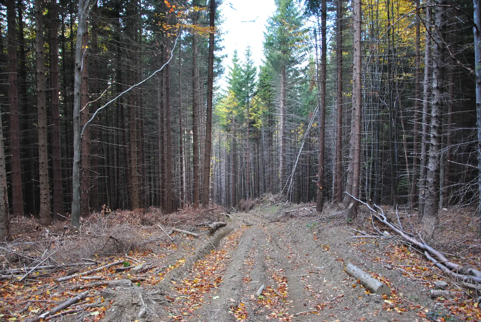 La Şipote - Valea Glăjăriei