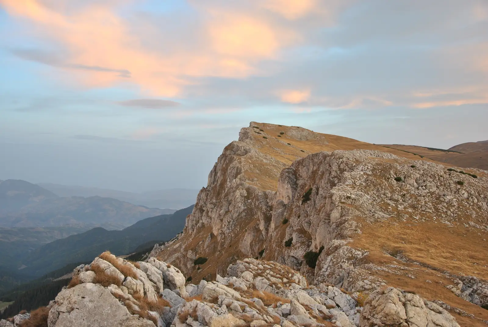 Cabana Omu - Muntele Strungile - Cabana Padina