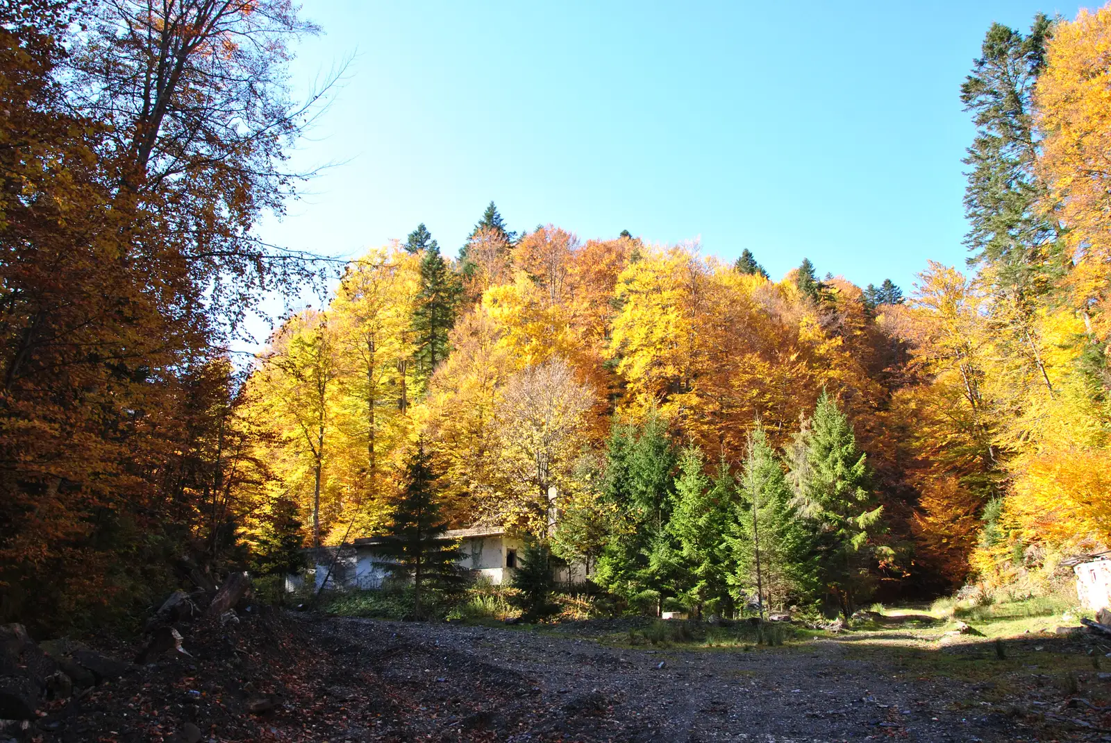 Predeal - Valea Iadului - Şaua Baiului