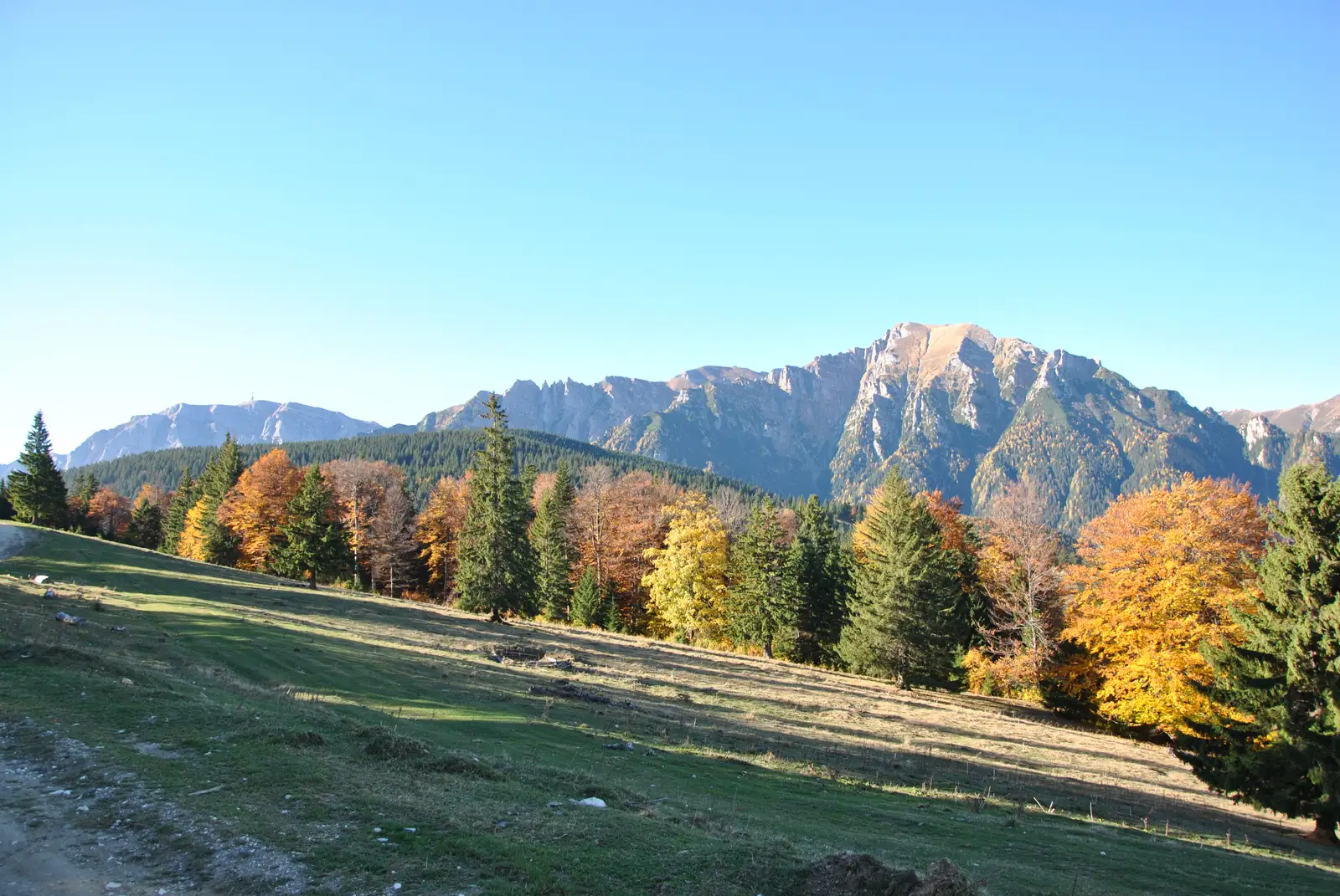 Gara Azuga - Culmea Grecului - Şaua Baiului