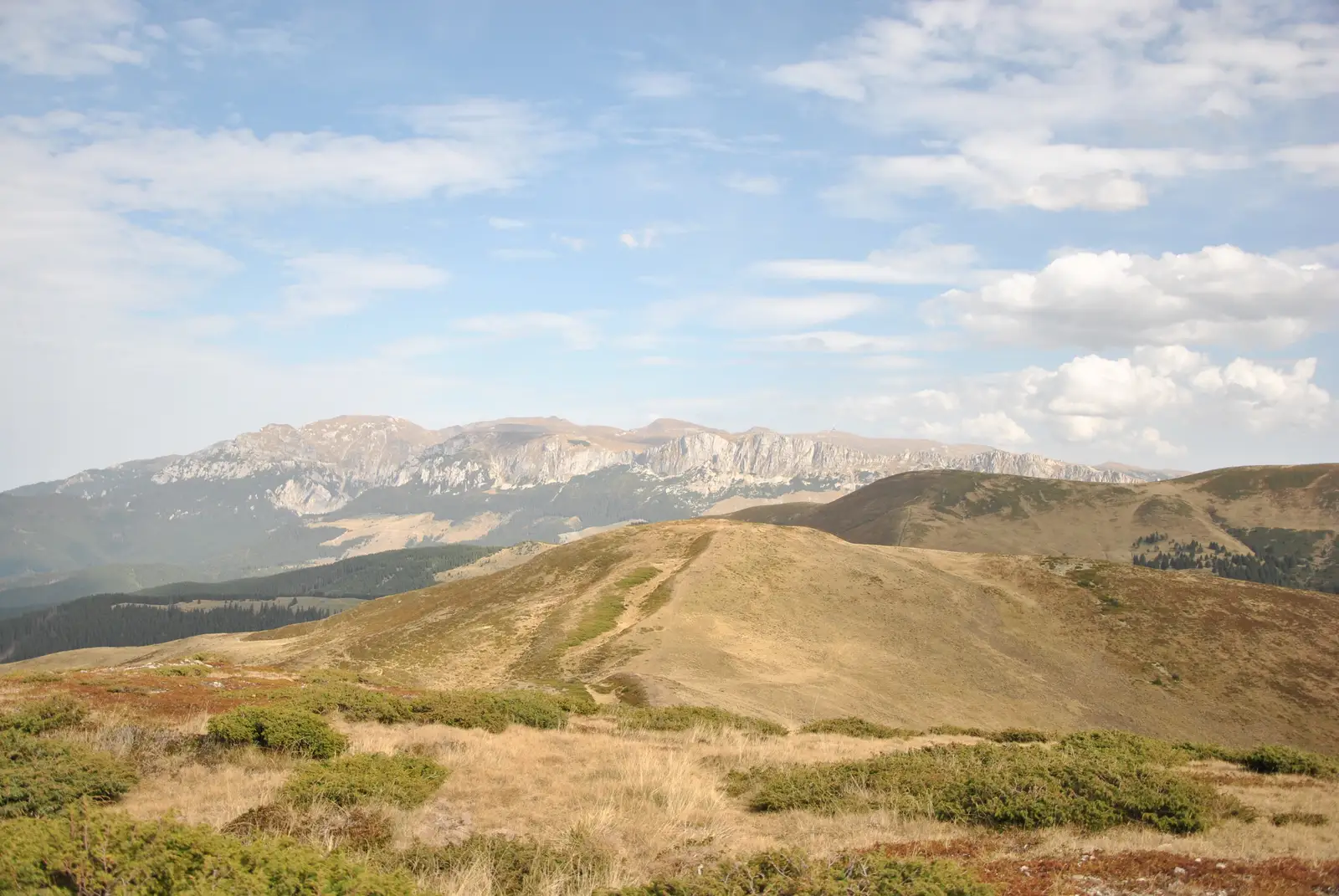 Valea Bângăleasa - Vârful Bucşa