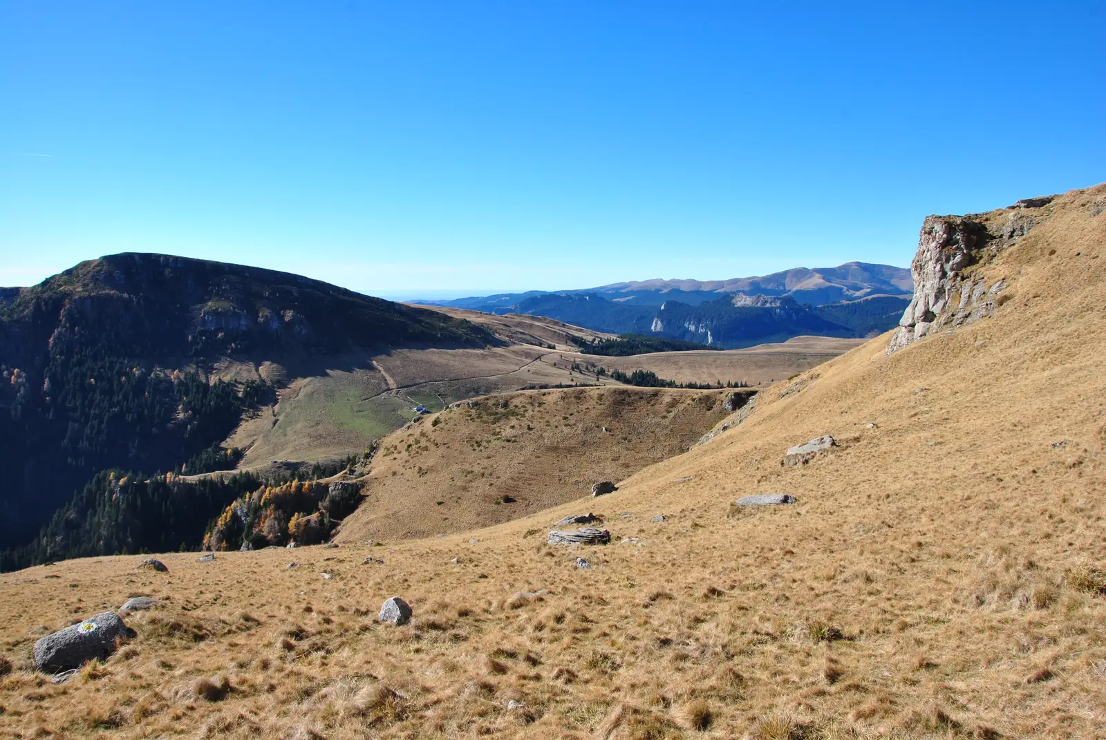 Şaua Vârfului cu Dor - Şaua Vânturiş