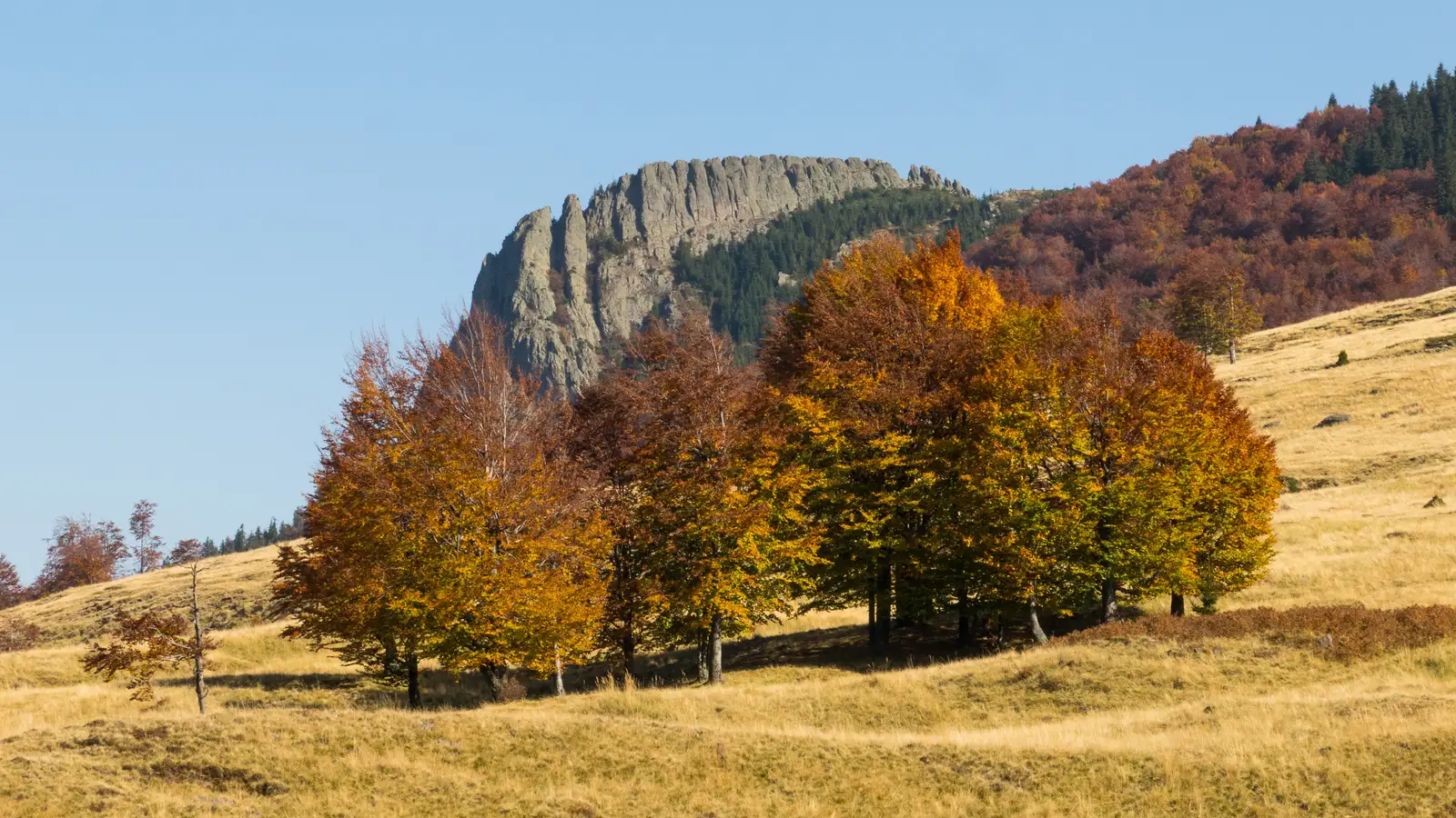 Pasul Gutâi – Creasta Cocoşului – Pasul Neteda