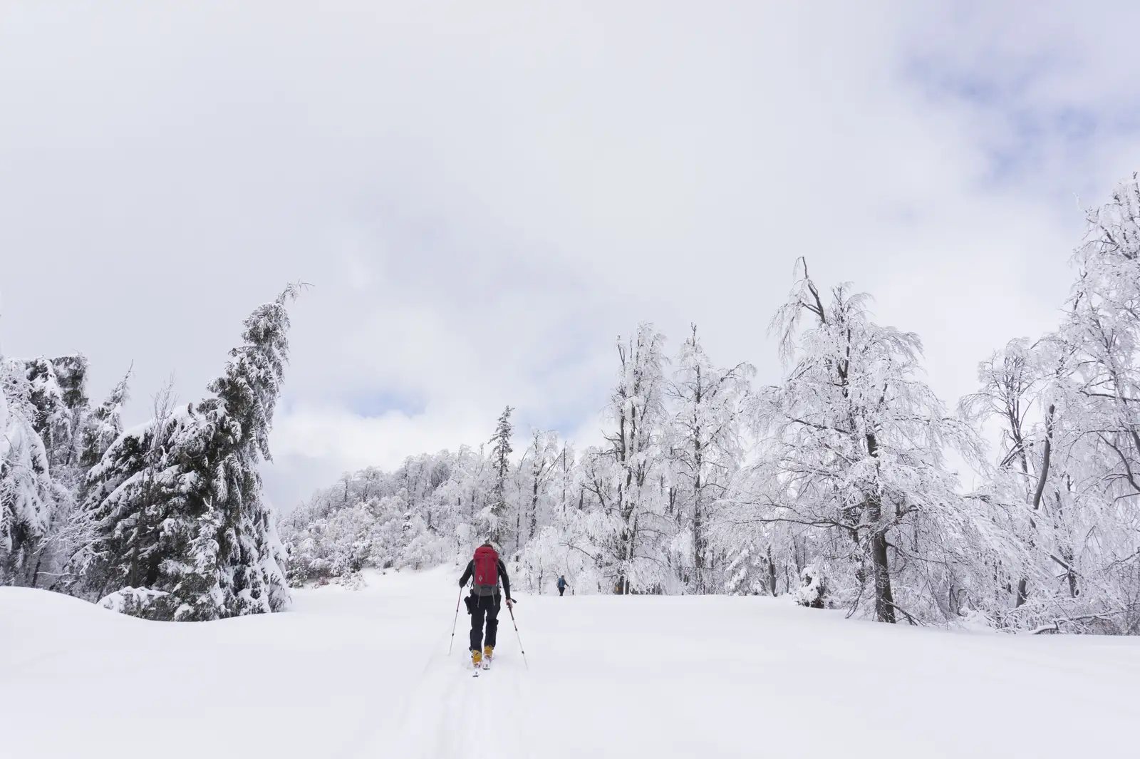 Pârtiile Icoana (Cavnic) – intersecţie traseul BR