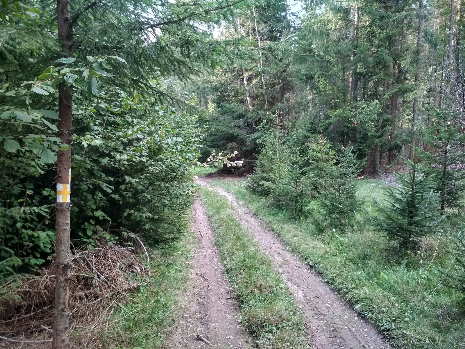 Cariera Suseni - intersecţie traseul CA