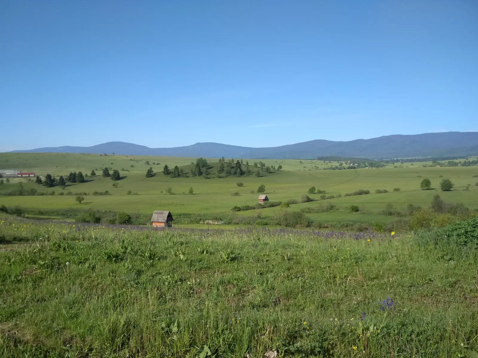 sat Cârţa - Poiana Madicea - intersecţie traseul BA (creasta principală)