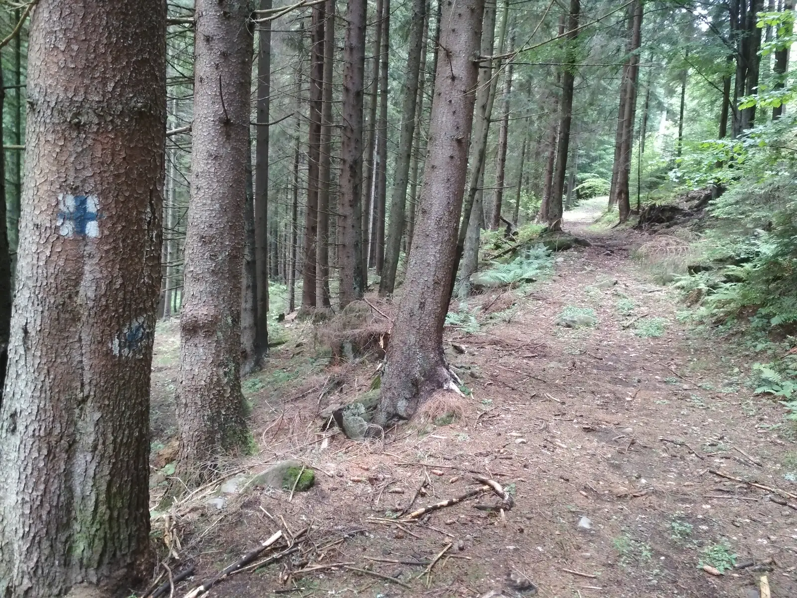 Piricske - Staţiunea Harghita-Băi
