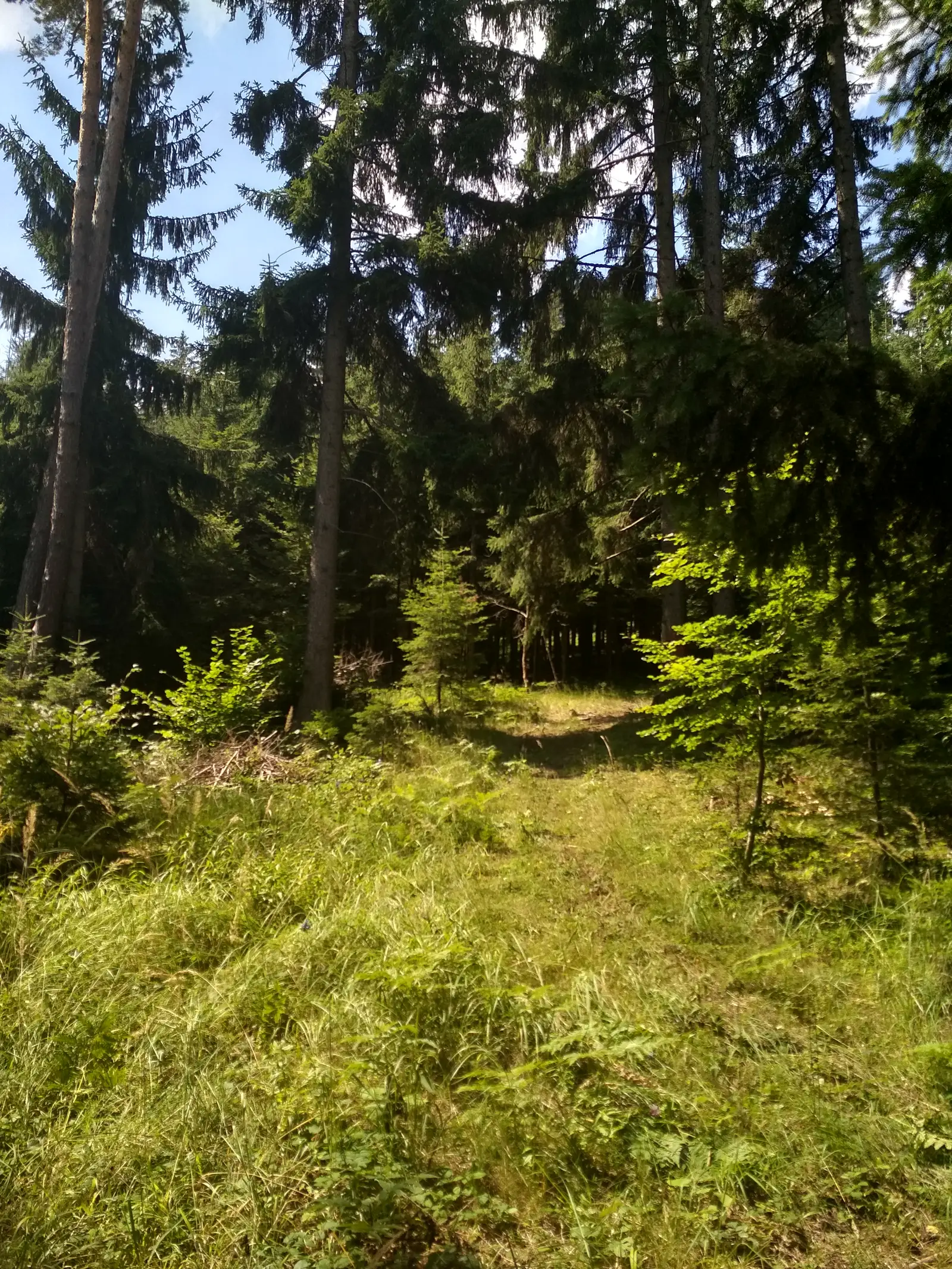 Csihányos - Dealul Cetăţii