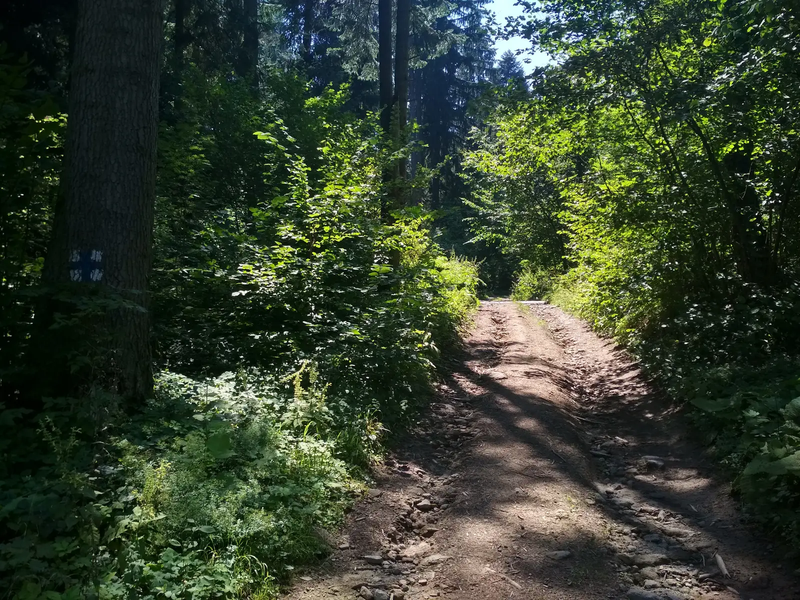 oraş Băile Tuşnad - intersecţie traseul BA (creasta principală)