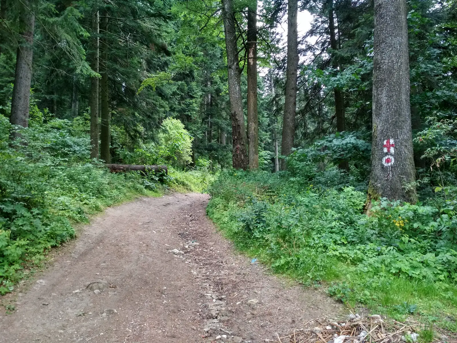 oraş Băile Tuşnad - sub Vf. Ciomatul Mic - Cabana Lacul Sfânta Ana
