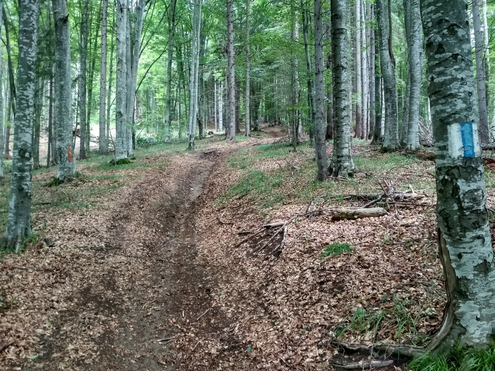 sat Bixad - sub Vf. Ciomatul Mare - Băile Tuşnad