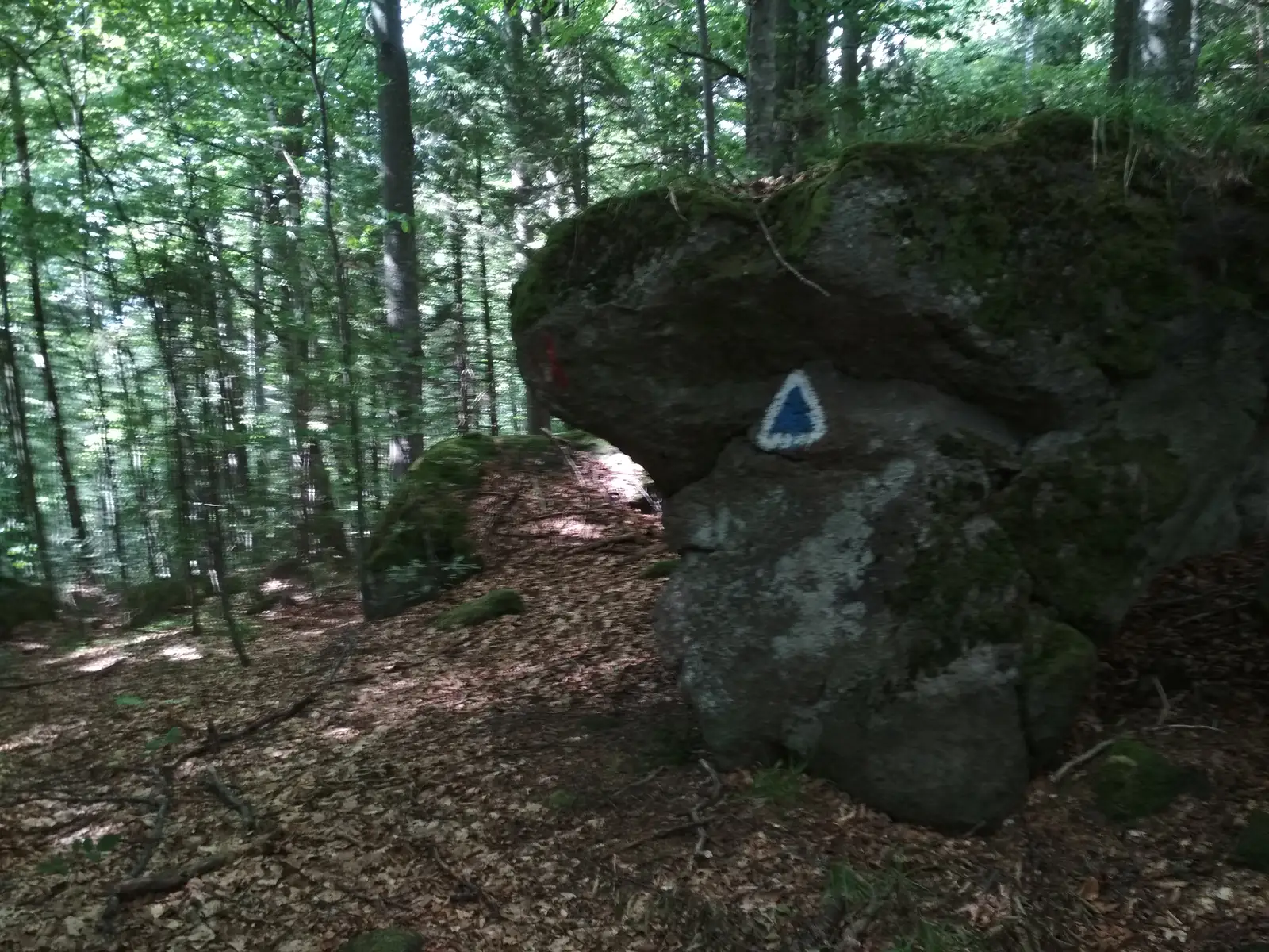 intersecţie traseul BA - Vf. Ciomatul Mare