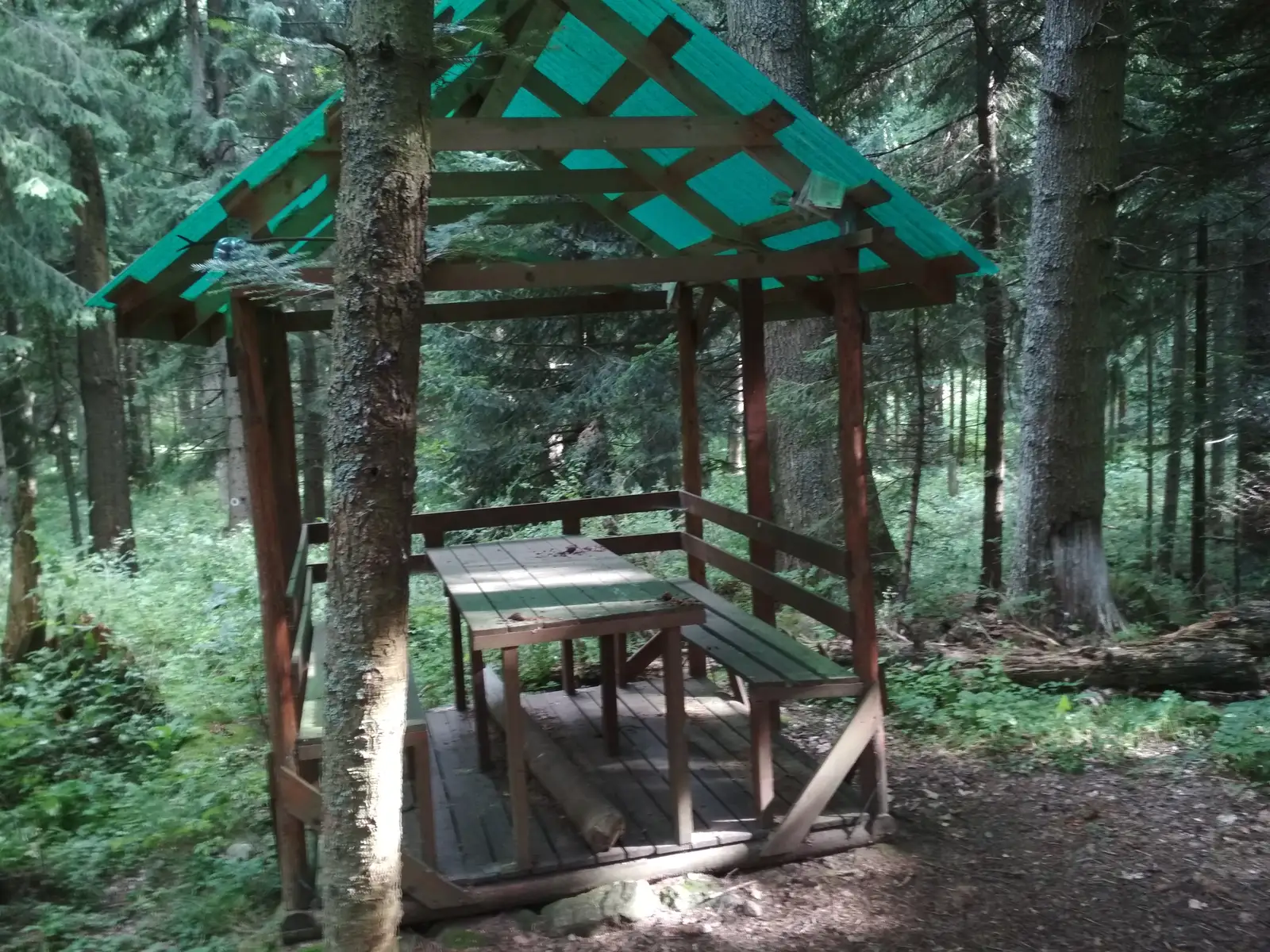 intersecţie traseul BA - Urmele Cetăţii Vármező