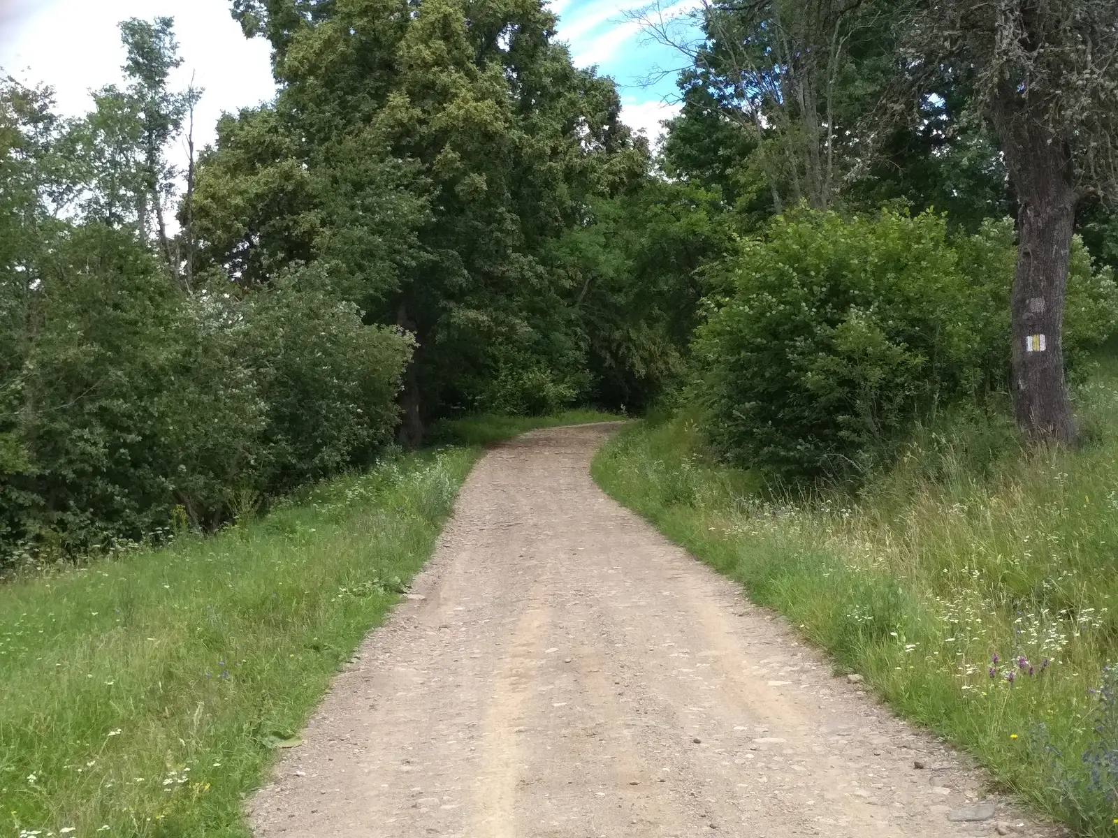 C.N.I.PT. Vlăhiţa - Colţul Chirui - Peştera Orbán Balázs (Cheile Vârghişului)