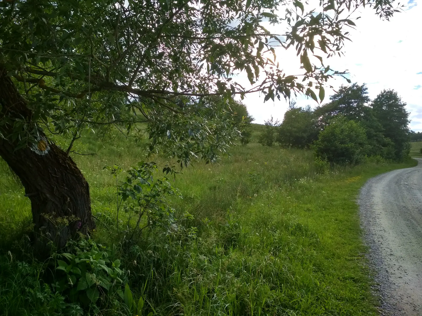 sat Mereşti - Canton Ţiglărie - intersecţie trasee CA şi BG