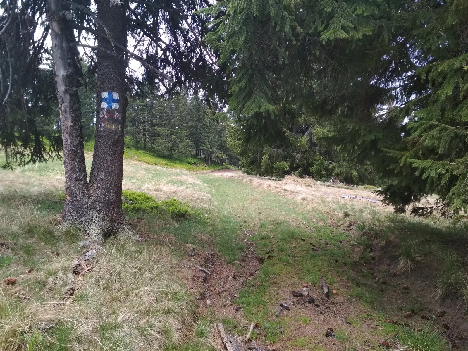 sat Cetăţuia - Pârâul Mare - traseul BA sub Vf. Câmpul Negru