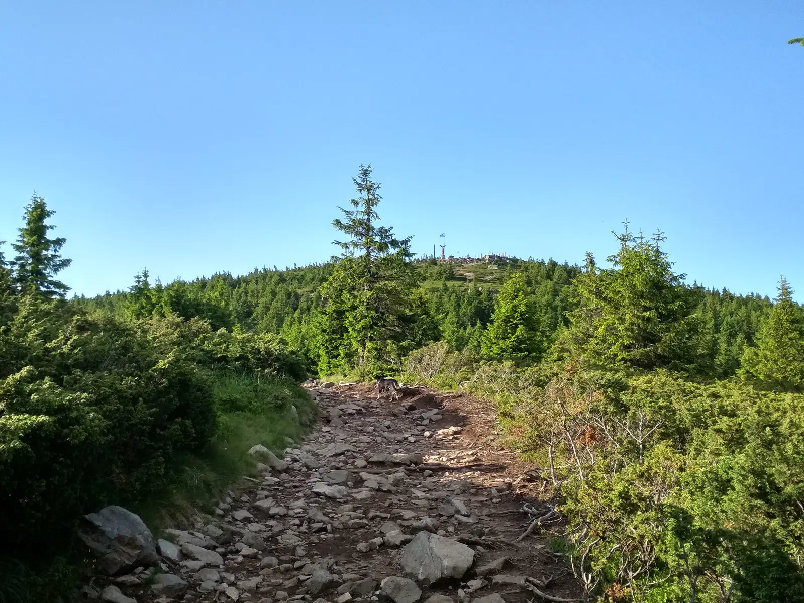 intersecţie traseul BA (la sud de Vf. Harghita Mădăraş) - Vf. Harghita Mădăraş