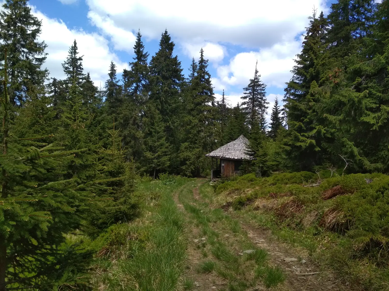 intersecţie traseul BA (la nord de Vf. Harghita Mădăraş) - Vf. Harghita Mădăraş
