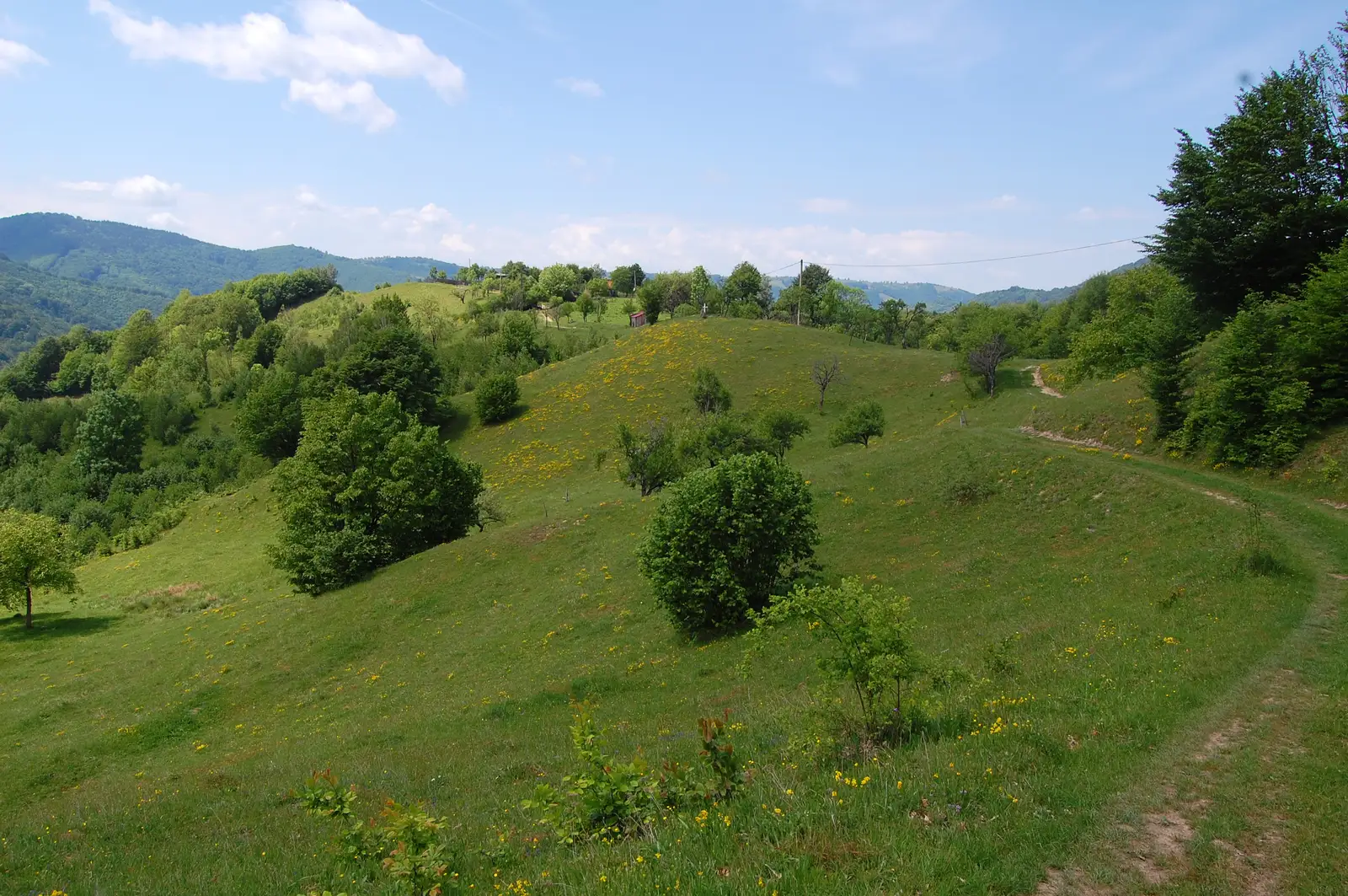 Valea Grădiştea - Cetatea Feţele Albe - Valea Albă