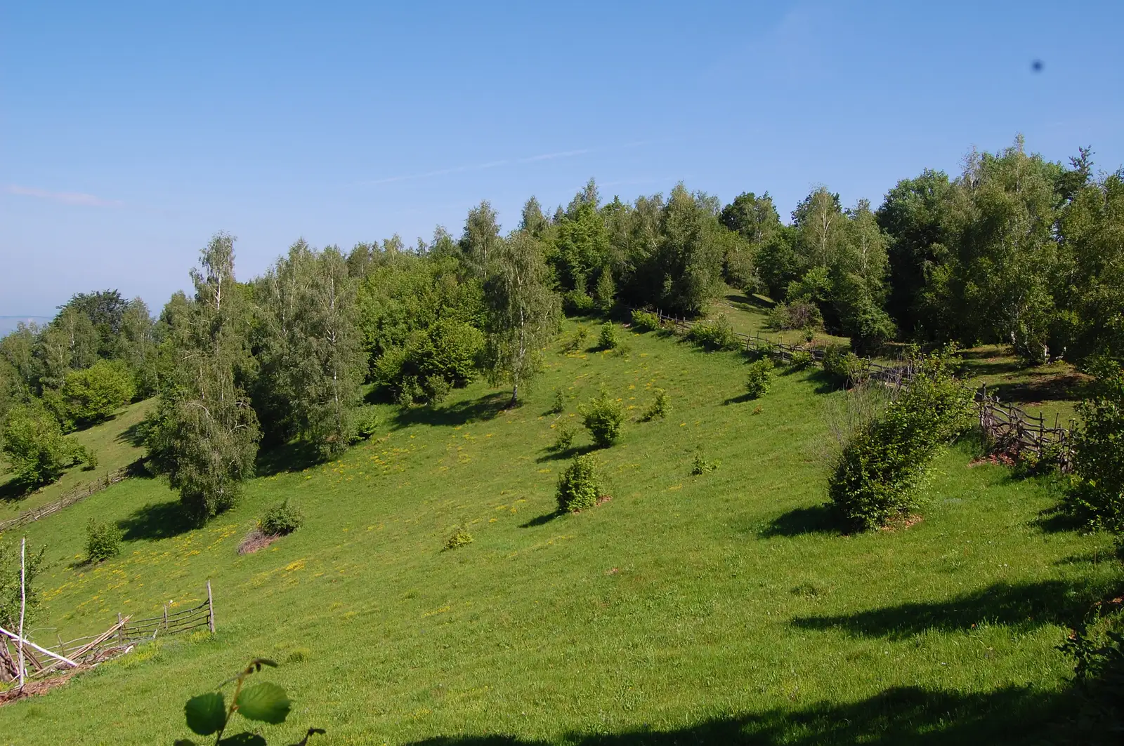 Costeşti - Vf. Porumbelu Mare - Vf. Godeanu