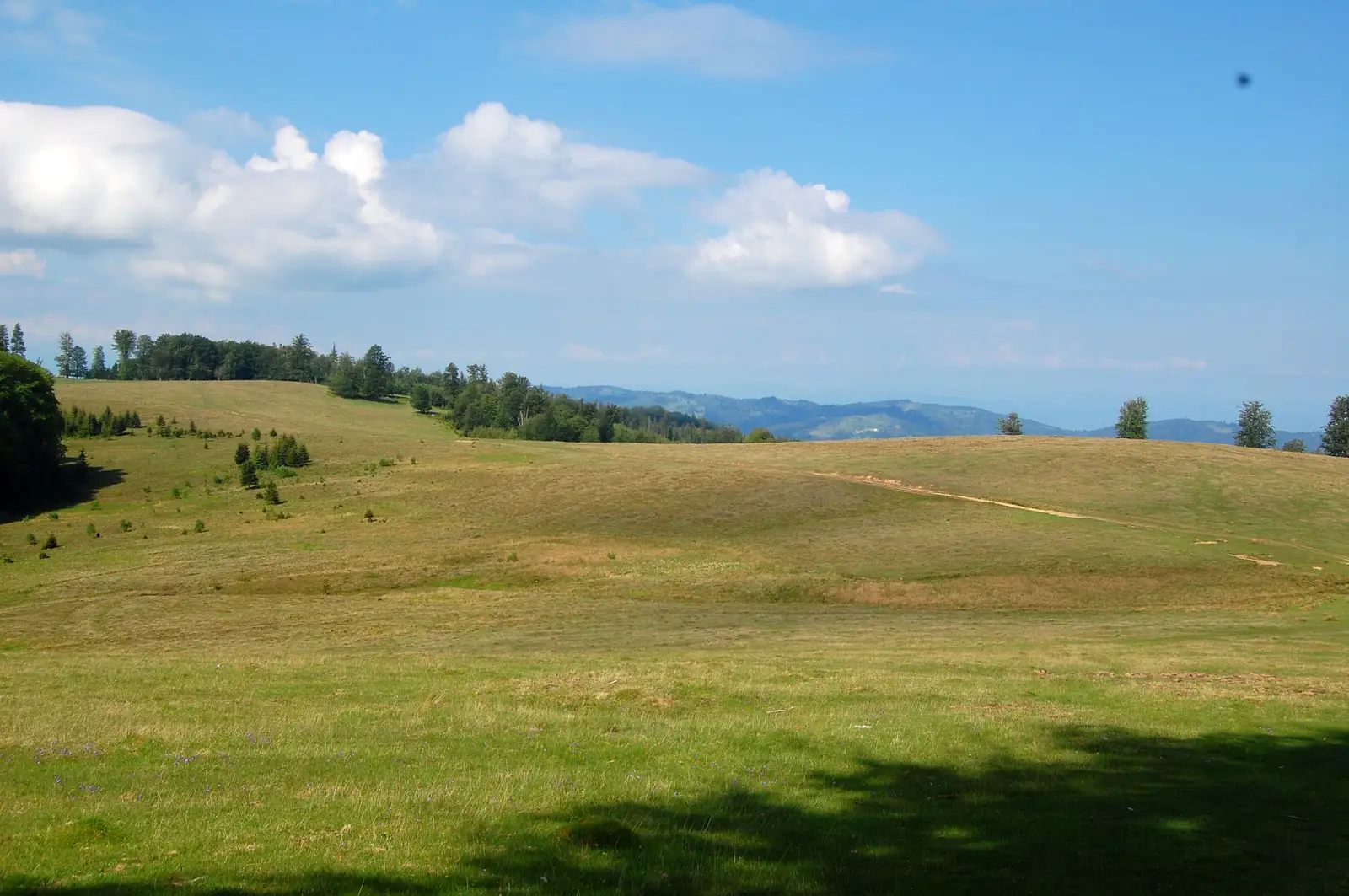 Grădiştea de Munte - Cetatea Piatra Roşie - intersecţie BR
