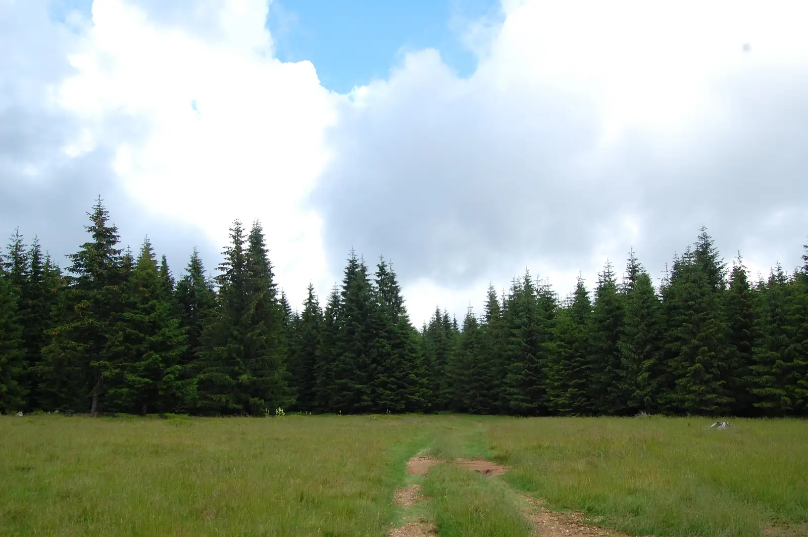 Cugir - Vf. Scârna - Cabana Şureanu
