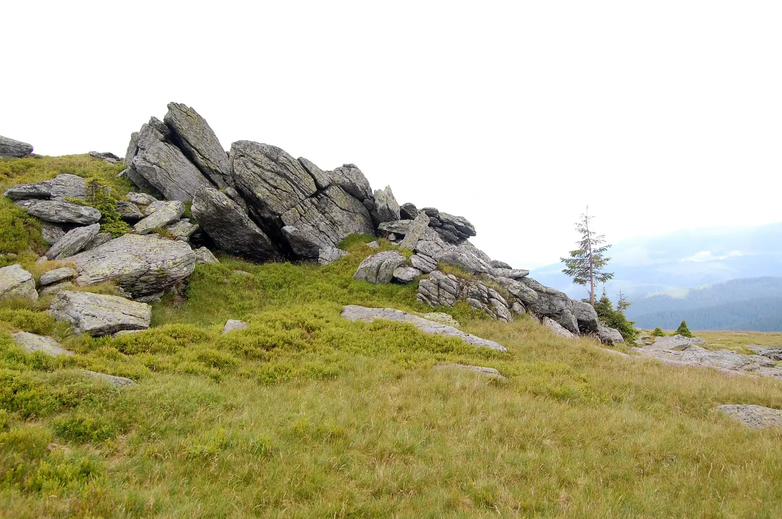 Cabana Prislop - Cabana Năsâpişte - Curmătura Mlăcilor