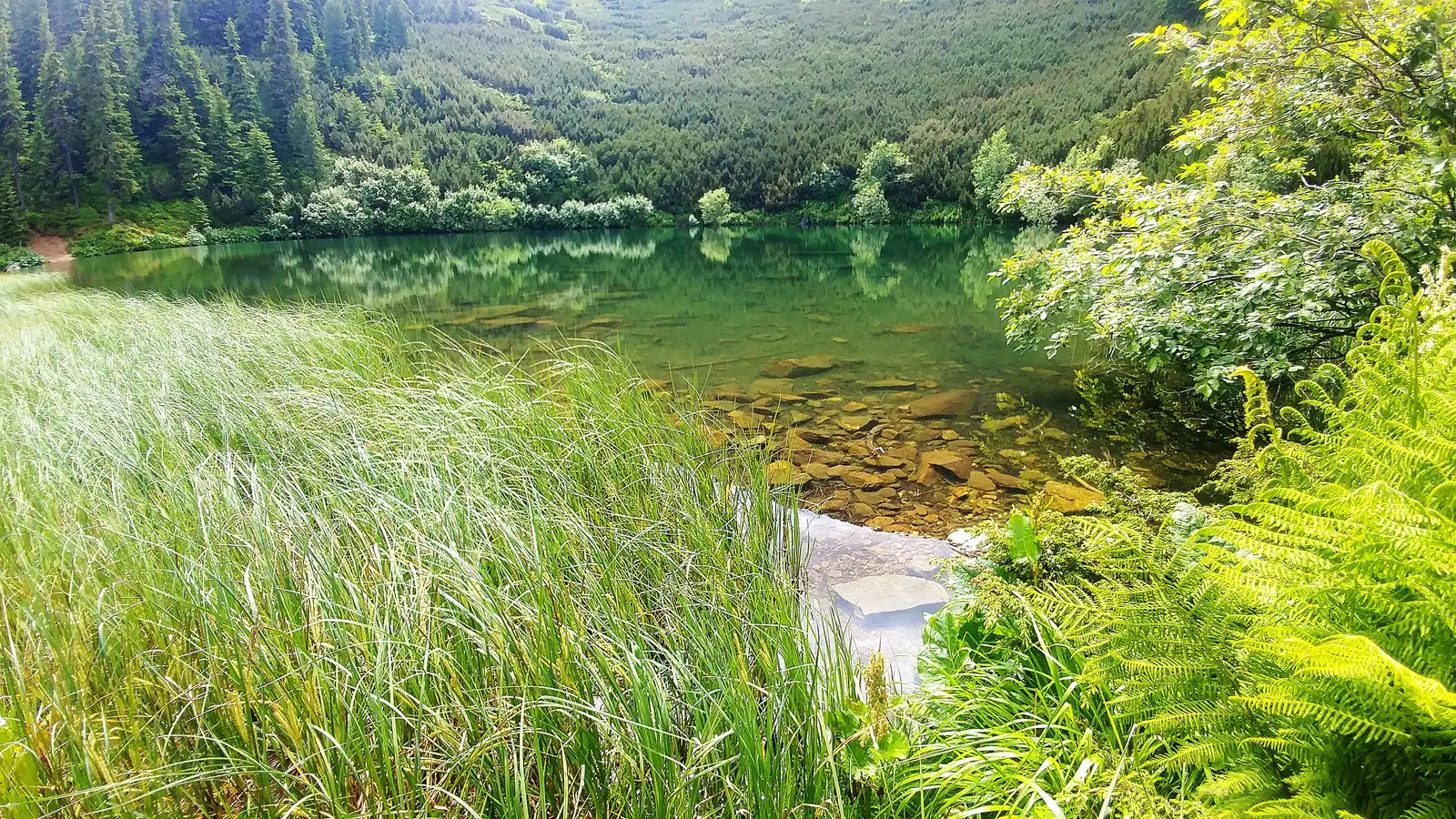 Cabana Genţiana (Luncile Prigoanei) - Domeniul Schiabil Şureanu - Cabana Şureanu