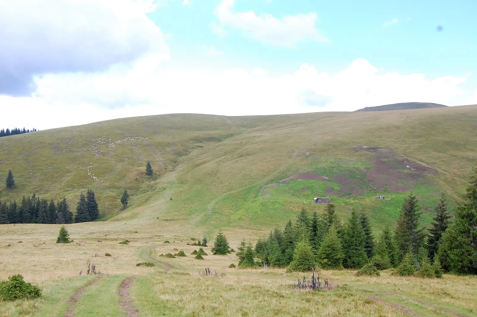 Cabana Groapa Seacă - Pasul Groapa Seacă - Vf. Capra