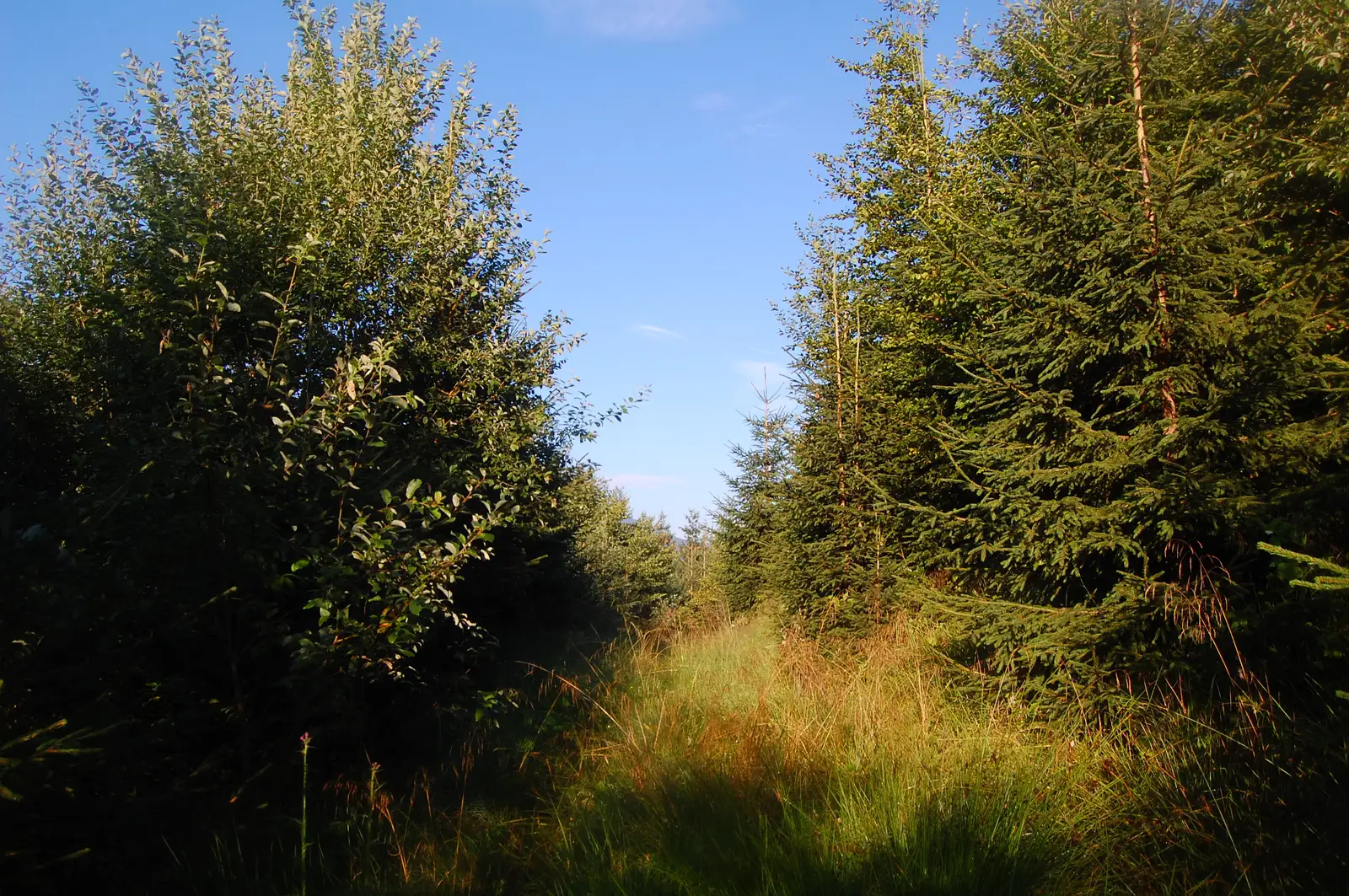 Cabana Groapa Seacă - Pârâul Fometescu - Cabana Groapa Seacă